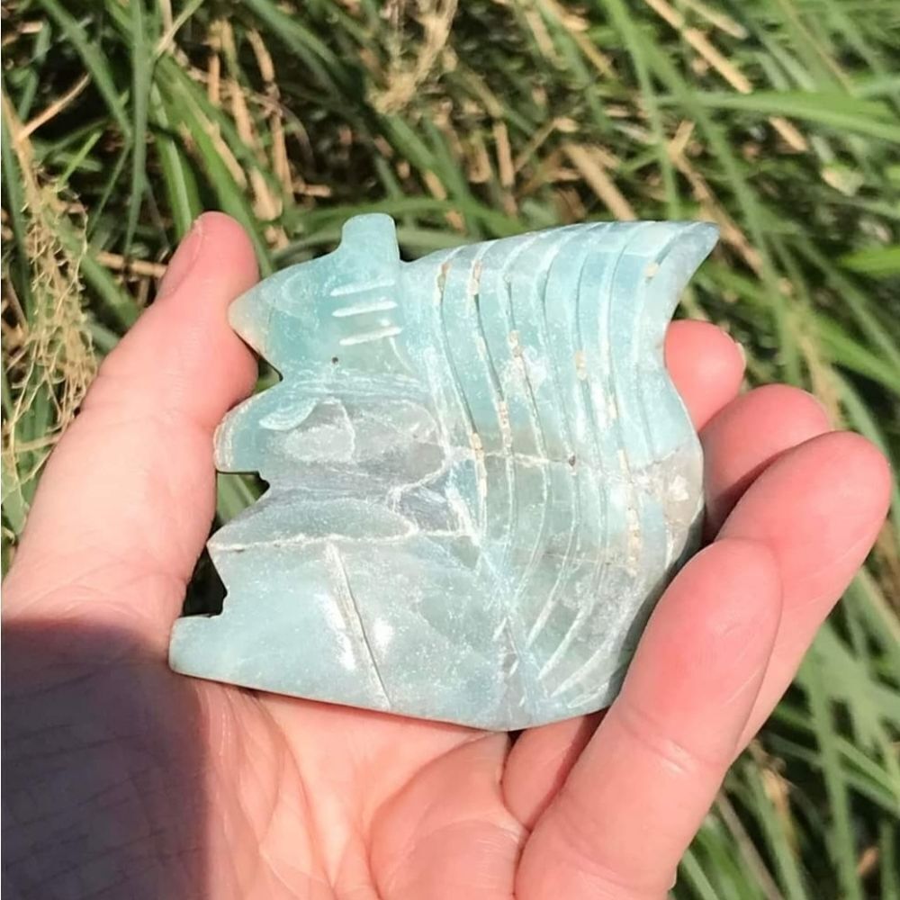 Caribbean Calcite Squirrel - Picture 6 of 10
